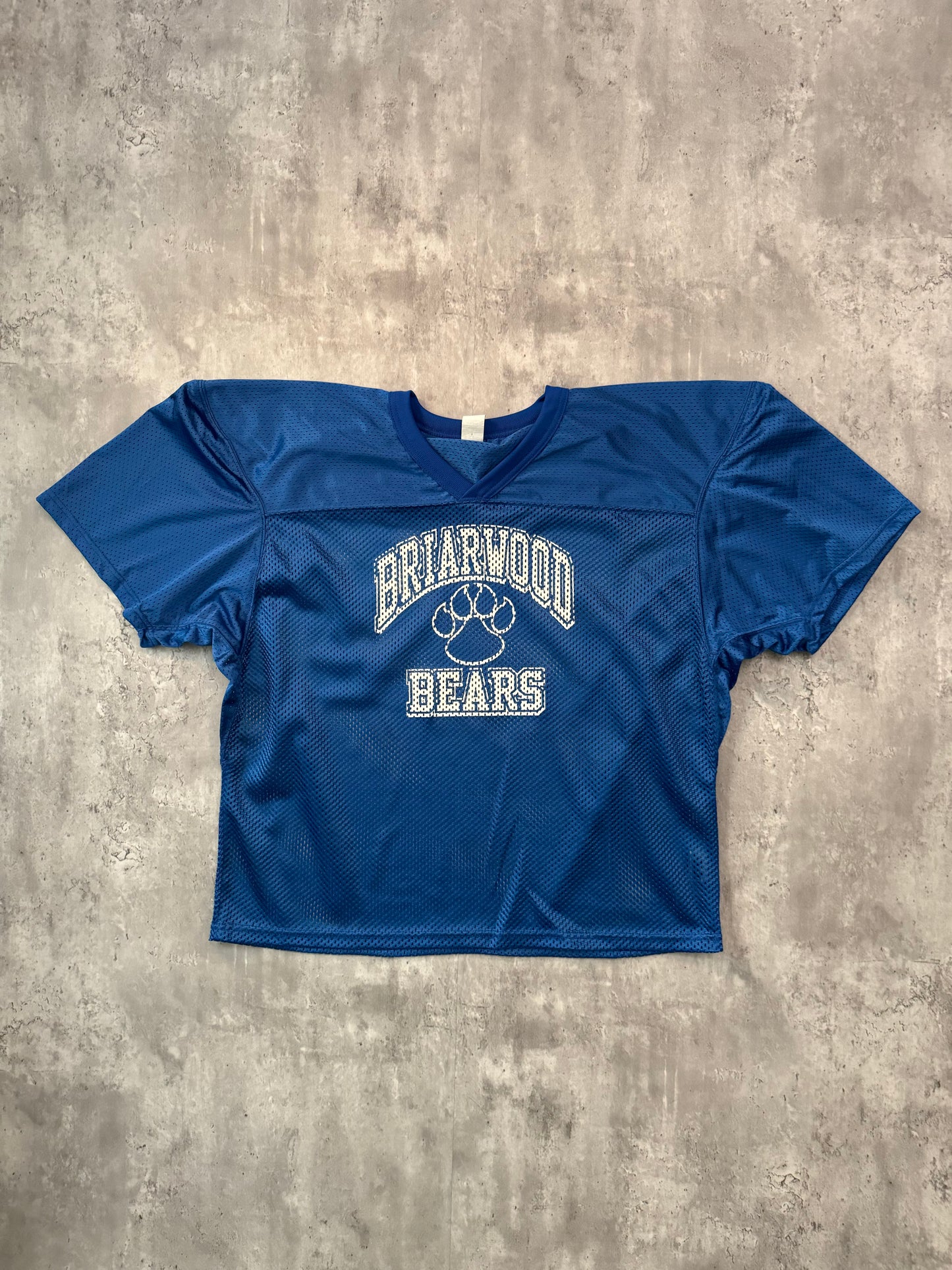 Vintage 2000's Briarwood Bears Mesh Jersey - L/XL