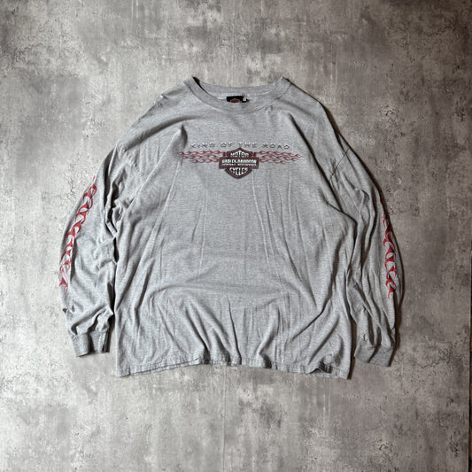 Harley-Davidson Flame Long Sleeve T-Shirt XX-Large Gray