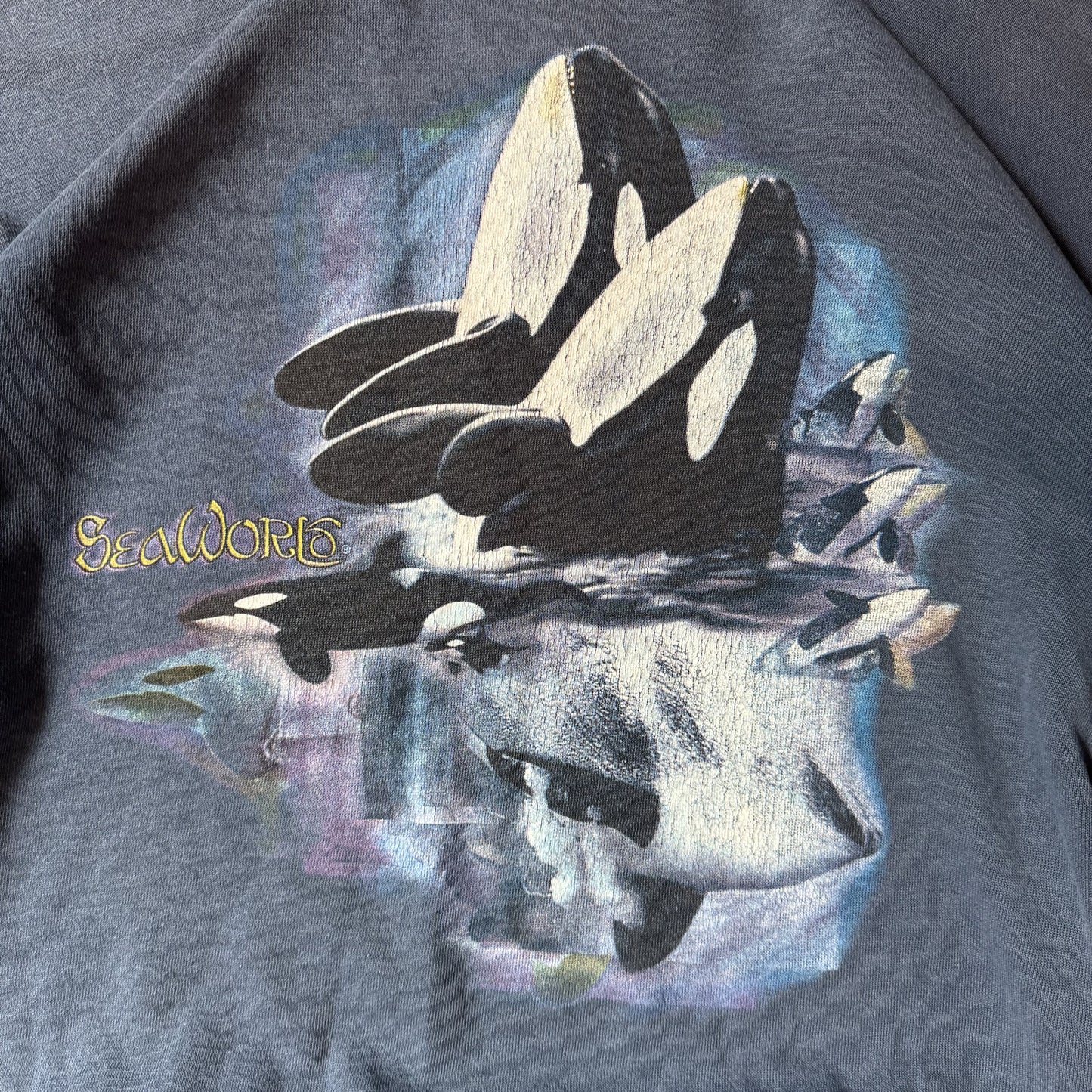 Lee Cotton Blend SeaWorld Graphic Sweatshirt Navy Blue - L